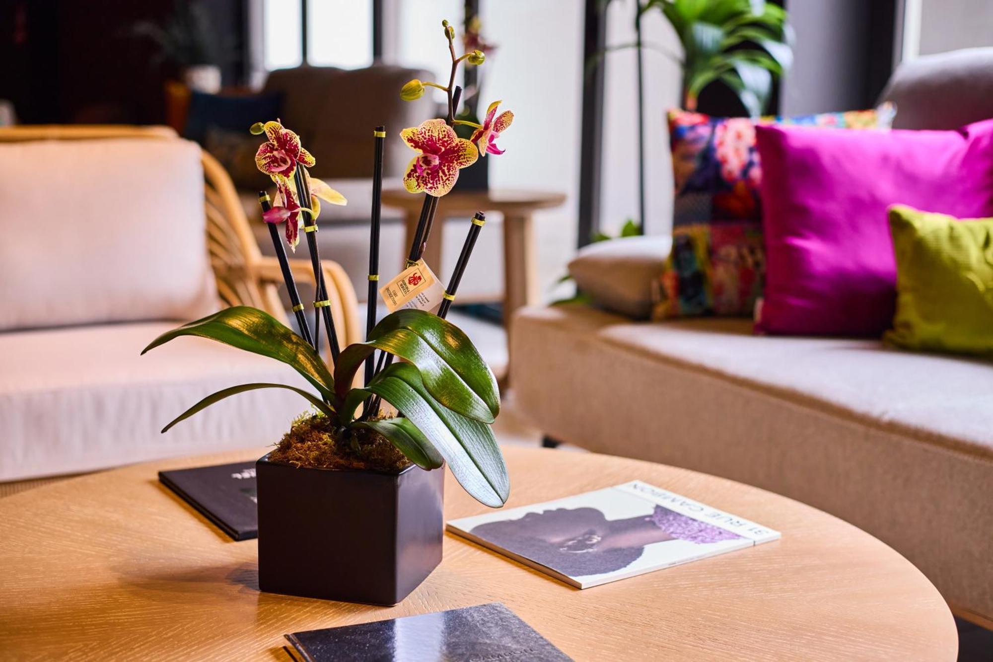Ola Boutique Hotel San Juan Zewnętrze zdjęcie